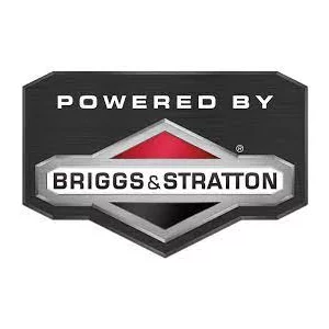 Briggs&Stratton