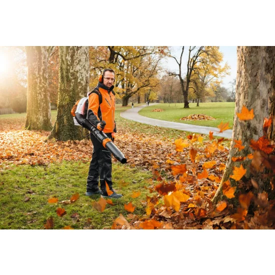 STIHL  BR 450 C-EF Nr art. 42440111632