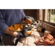 Stihl  FSA 70 R, zestaw z AK 20 i AL 101, AC C 12-2 Nr art. FA070115713