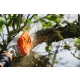 Stihl  HTA 135, Podkrzesywarka akumulatorowa, 30 cm Nr art. LA012000030