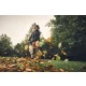 Stihl  KMA 200 R, Kombimotor akumulatorowy Nr art. FA030116803